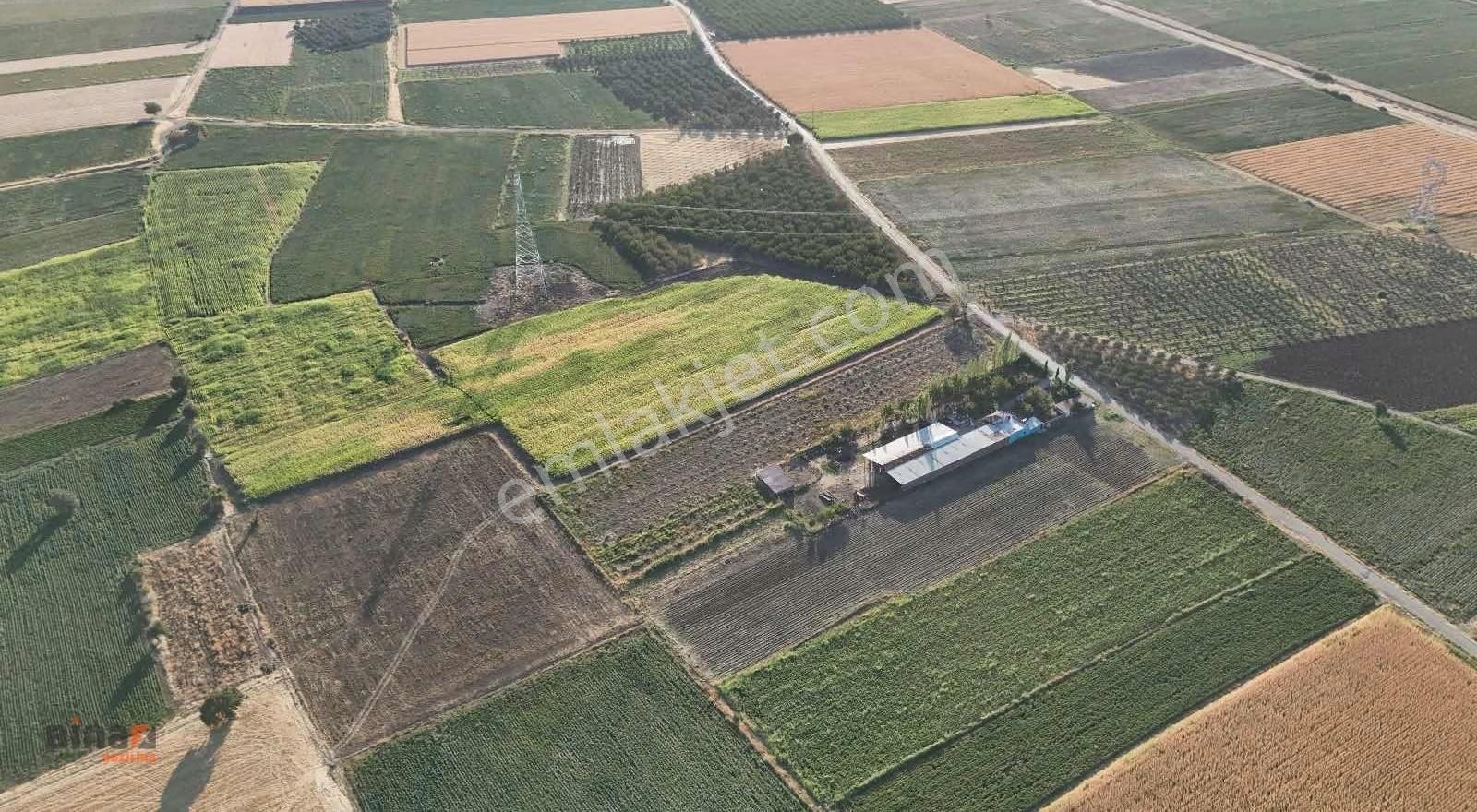 Binax Bazilika'dan Satılık Çiftlik Ve Arazisi - Görsel 2