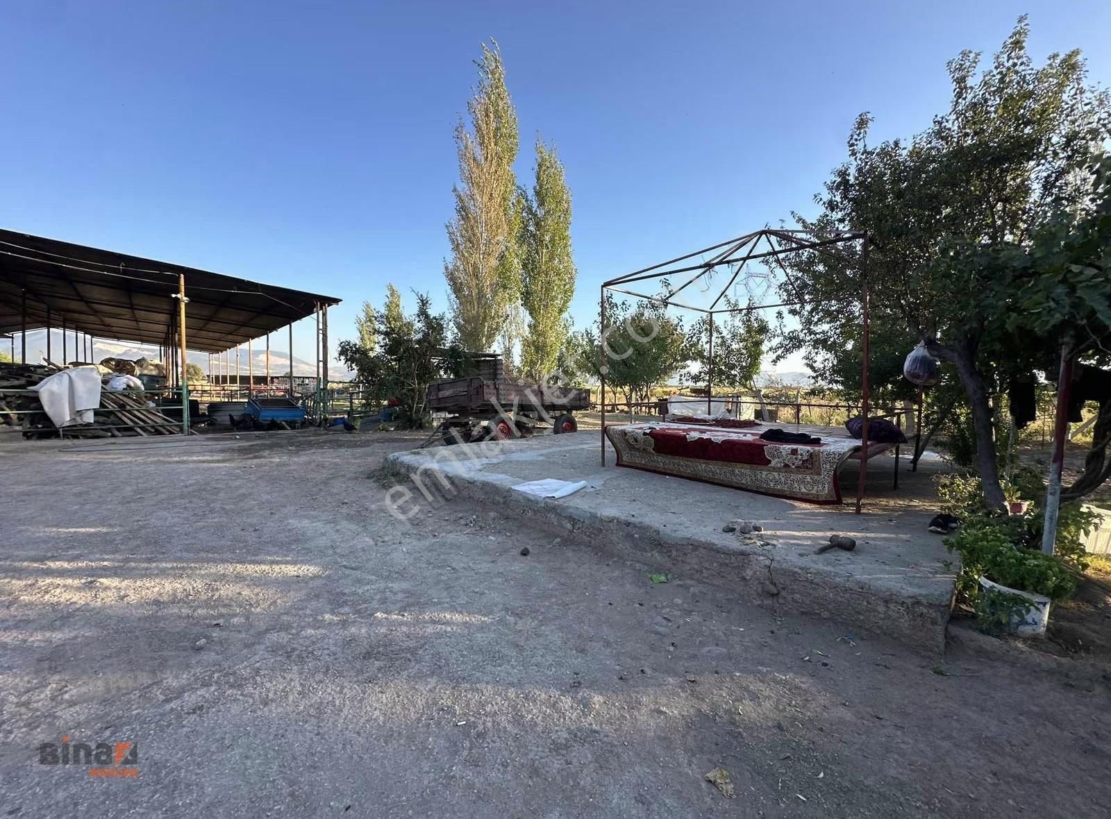 Binax Bazilika'dan Satılık Çiftlik Ve Arazisi - Görsel 17