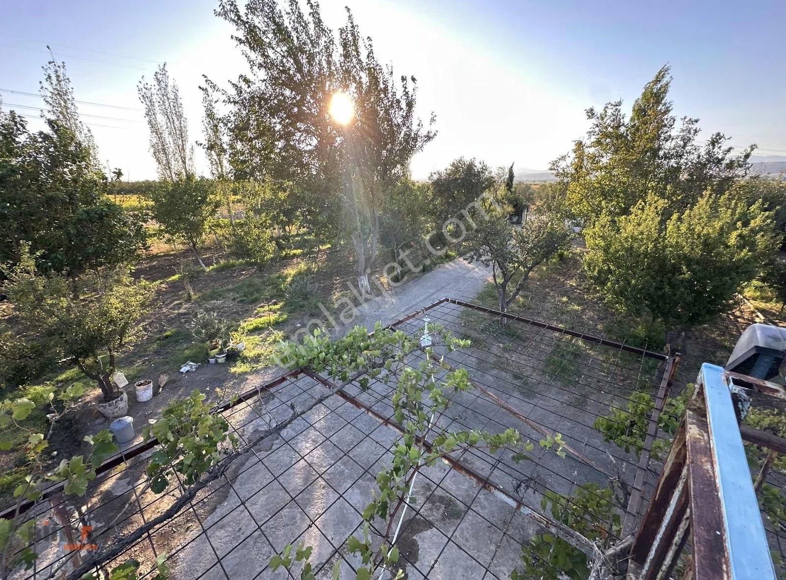 Binax Bazilika'dan Satılık Çiftlik Ve Arazisi - Görsel 16