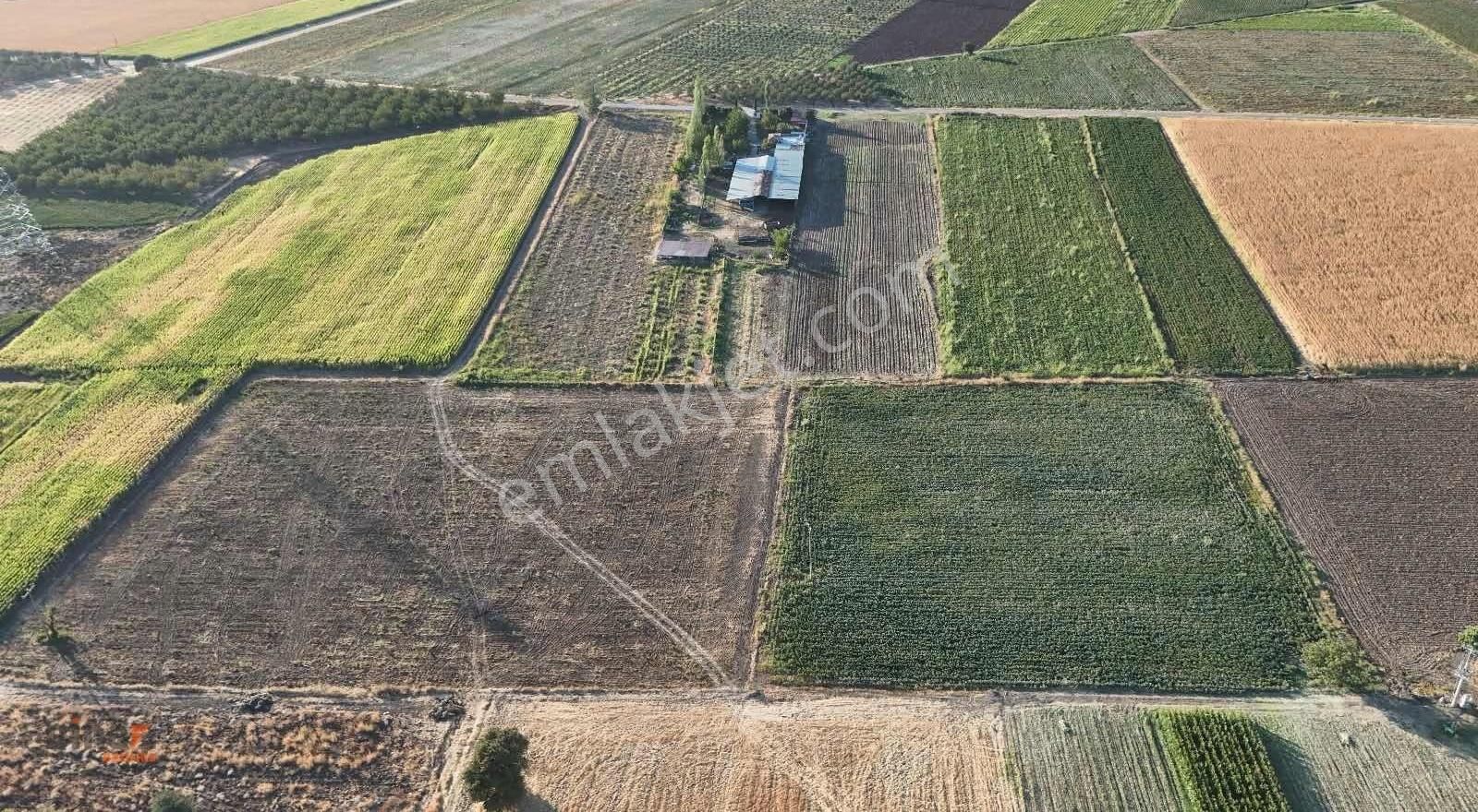 Binax Bazilika'dan Satılık Çiftlik Ve Arazisi - Görsel 32