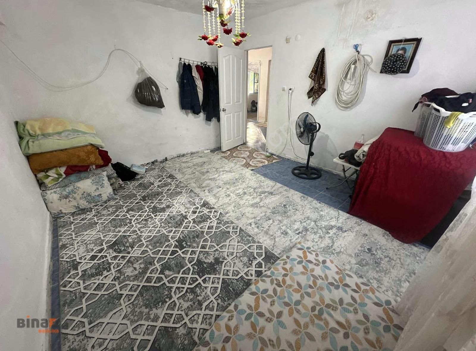 Binax Bazilika'dan Satılık Çiftlik Ve Arazisi - Görsel 7