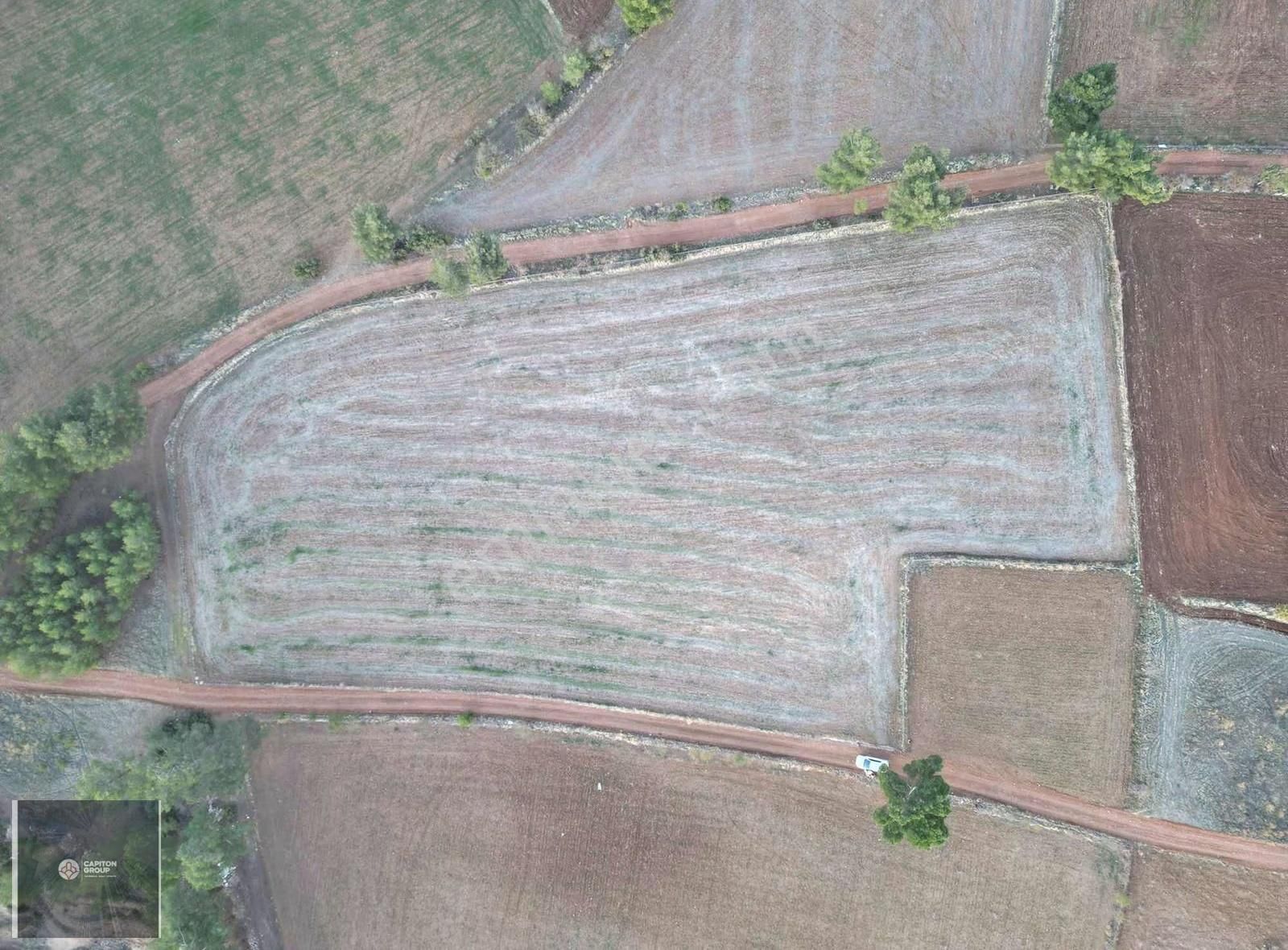 Tavas'ta Satılık Çiftlik Yapımına Uygun Arazi