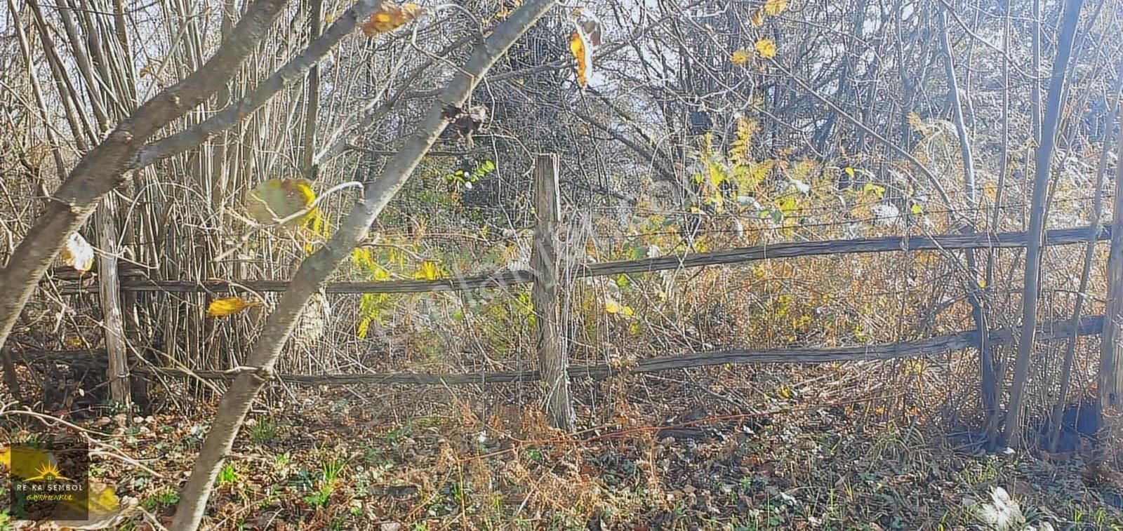 Sakarya/sapanca/memnuniye Mah. Satılık 3575 M2 Arazi - Görsel 12