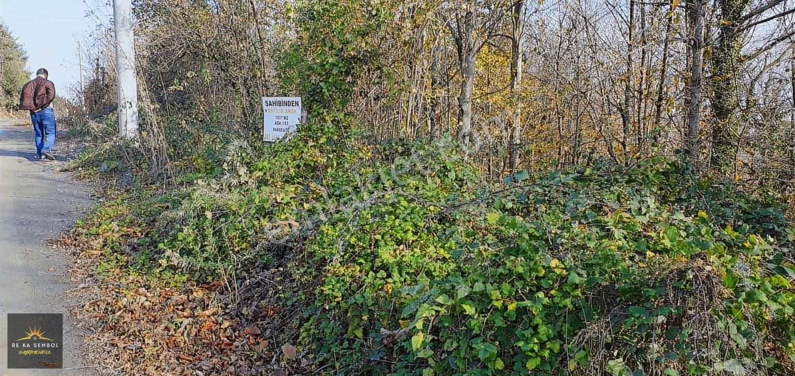 Sakarya/sapanca/memnuniye Mah. Satılık 3575 M2 Arazi - Görsel 2