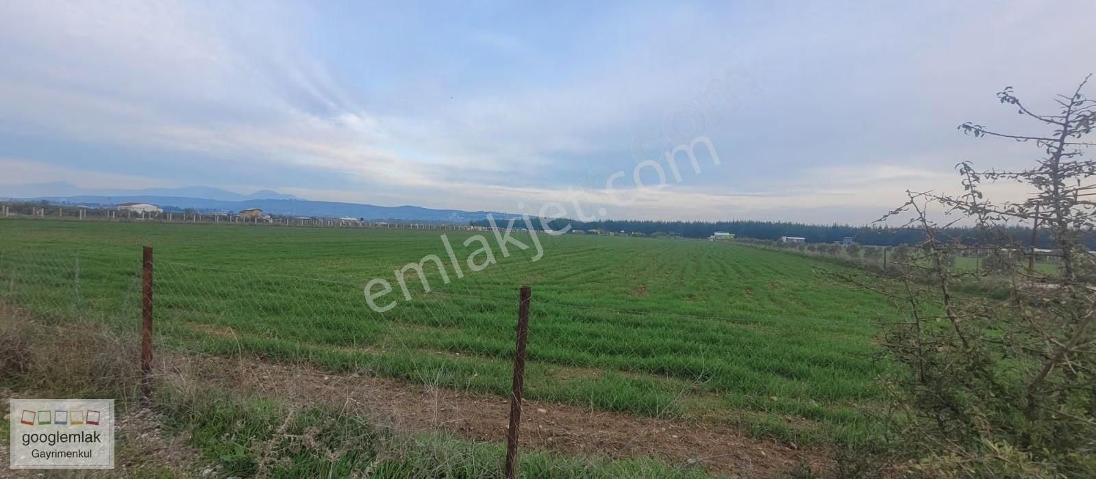 Menderes Bulgurca Yola Cepheli, Düzlük, Tek Tapu Fırsat Arazi - Görsel 2