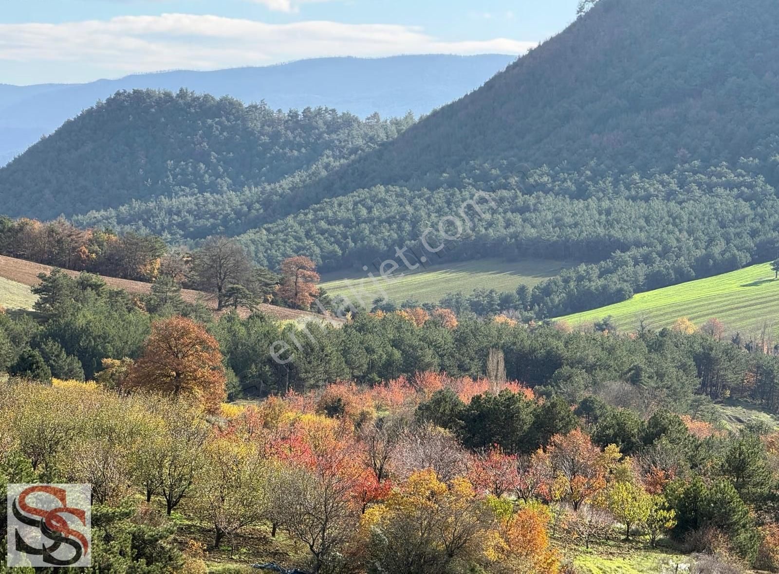 Geyve Çine Göl Manzaralı 4.337 M² Tarla + Havuzlu Bungalov - Görsel 12