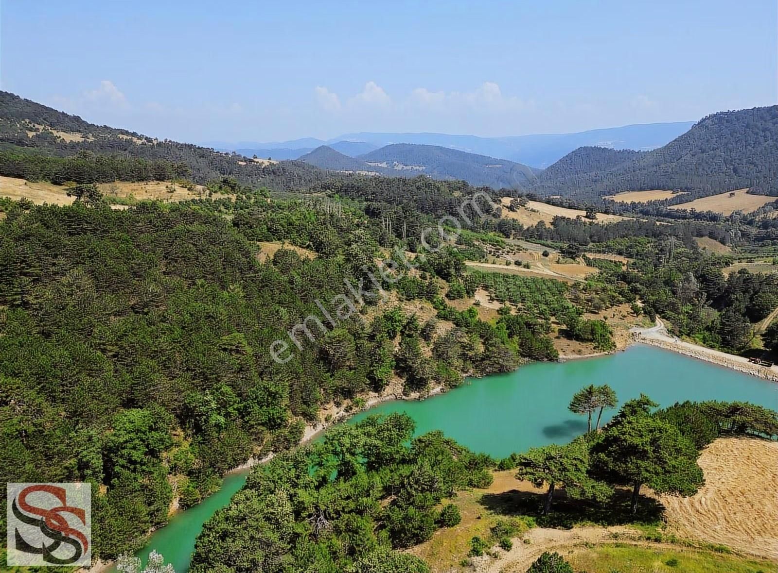 Geyve Çine Göl Manzaralı 4.337 M² Tarla + Havuzlu Bungalov - Görsel 20