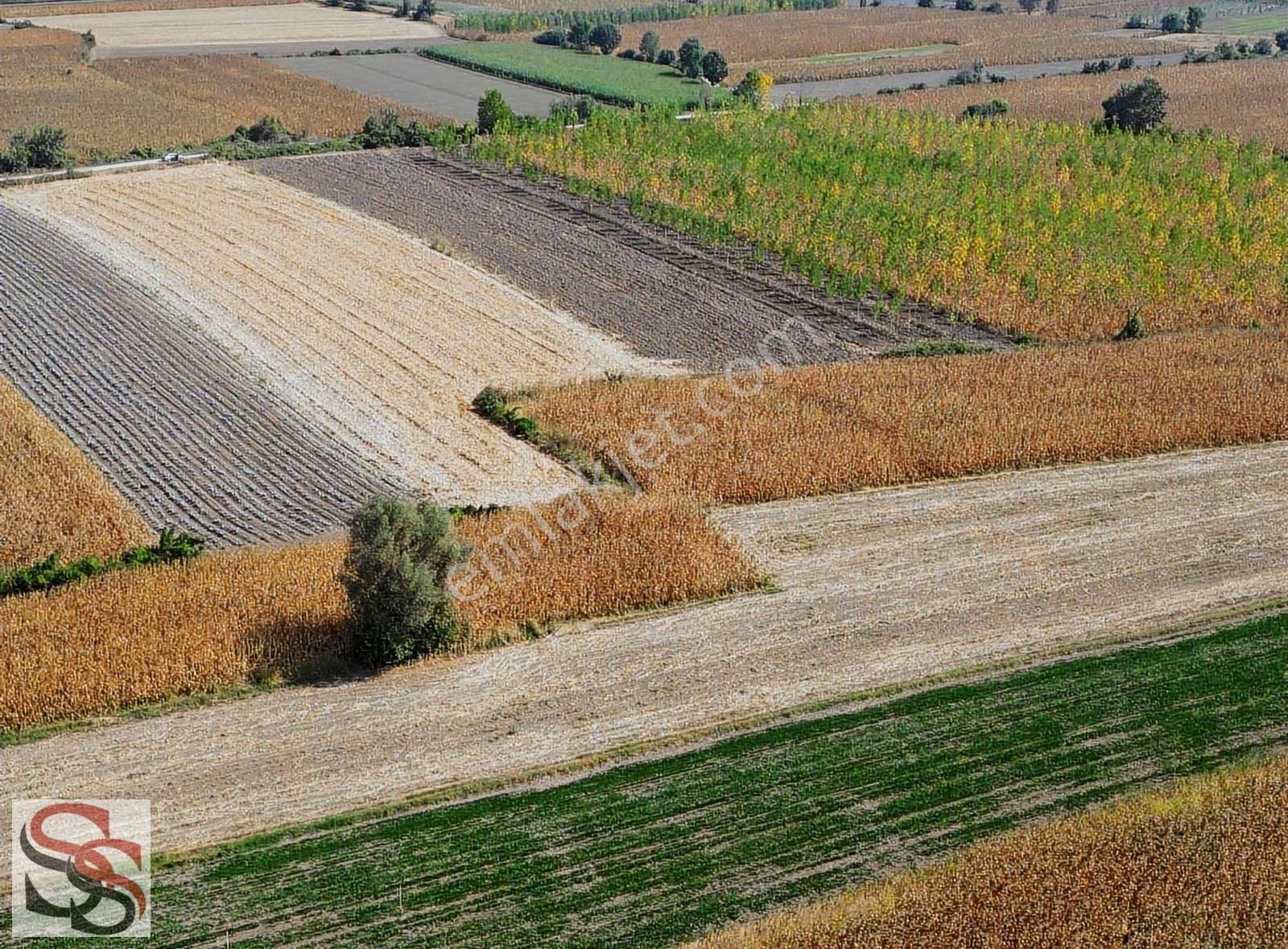 Erenler D-100 Karayoluna 290 Metre Kiralık 5.800 M² Tarla - Görsel 13