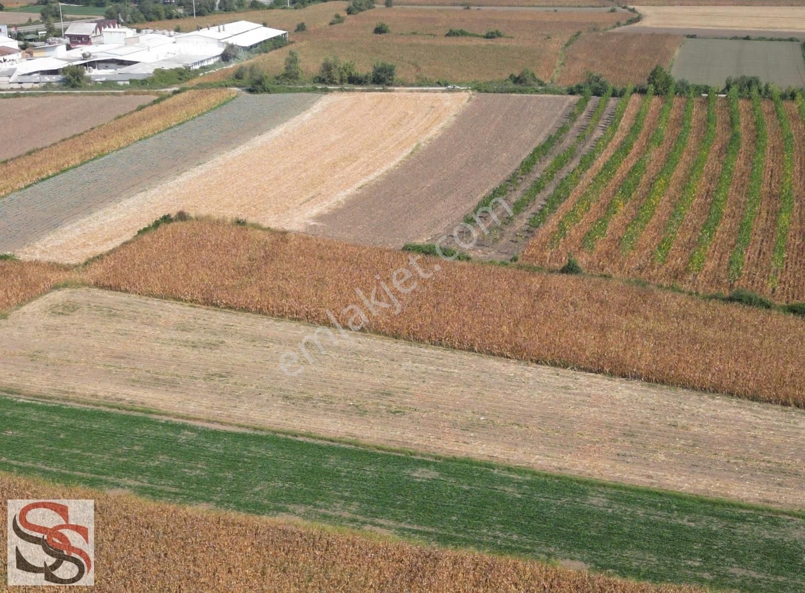 Erenler D-100 Karayoluna 290 Metre Kiralık 5.800 M² Tarla - Görsel 20