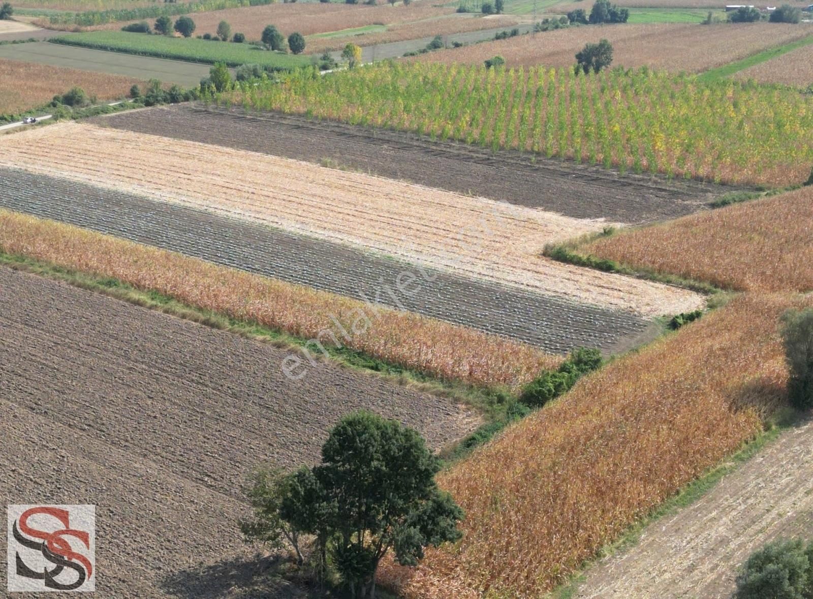 Erenler D-100 Karayoluna 290 Metre Kiralık 5.800 M² Tarla - Görsel 16