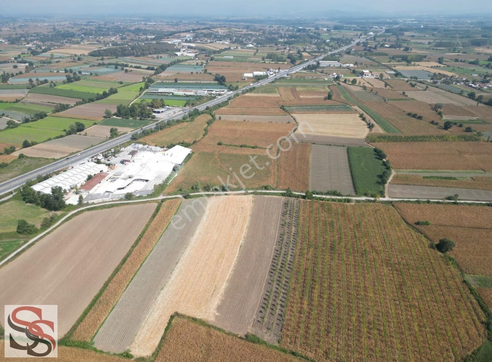 Erenler D-100 Karayoluna 290 Metre Kiralık 5.800 M² Tarla