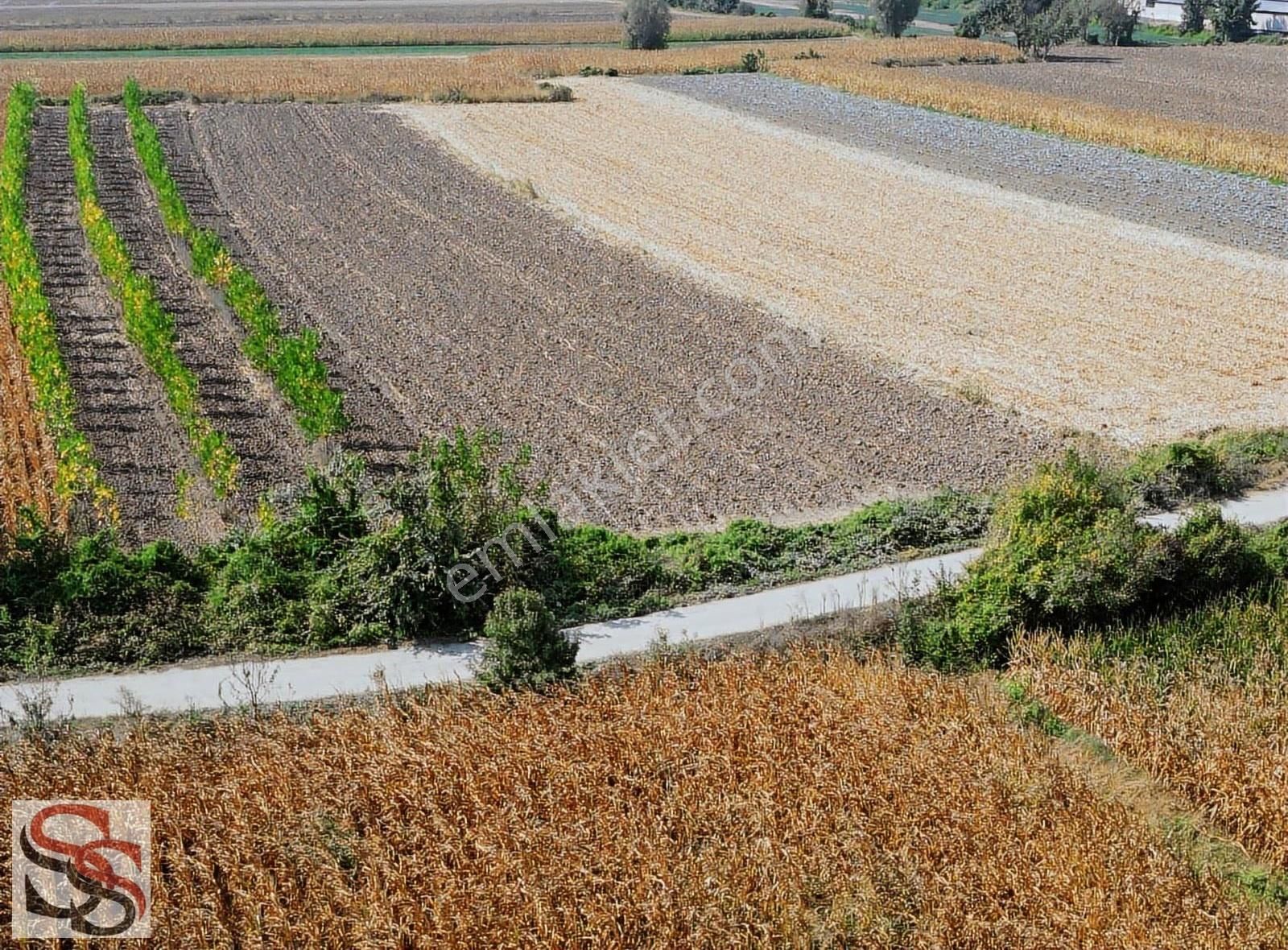 Erenler D-100 Karayoluna 290 Metre Kiralık 5.800 M² Tarla - Görsel 2