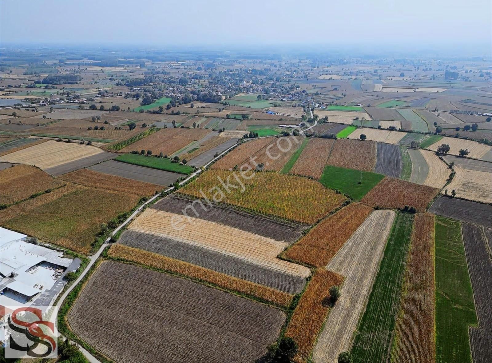 Erenler D-100 Karayoluna 290 Metre Kiralık 5.800 M² Tarla - Görsel 6