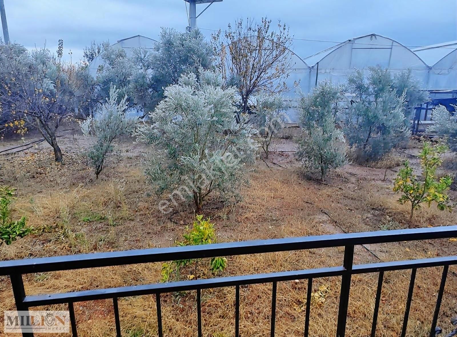 Kepez De Satılık Tarıma Elverişli Arsa - Görsel 11