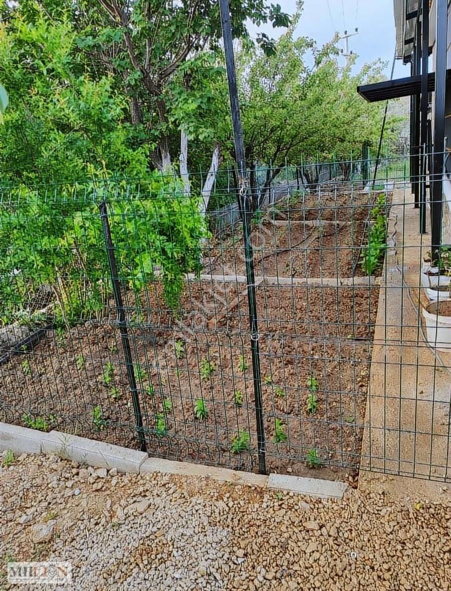 Kepez De Satılık Tarıma Elverişli Arsa - Görsel 4