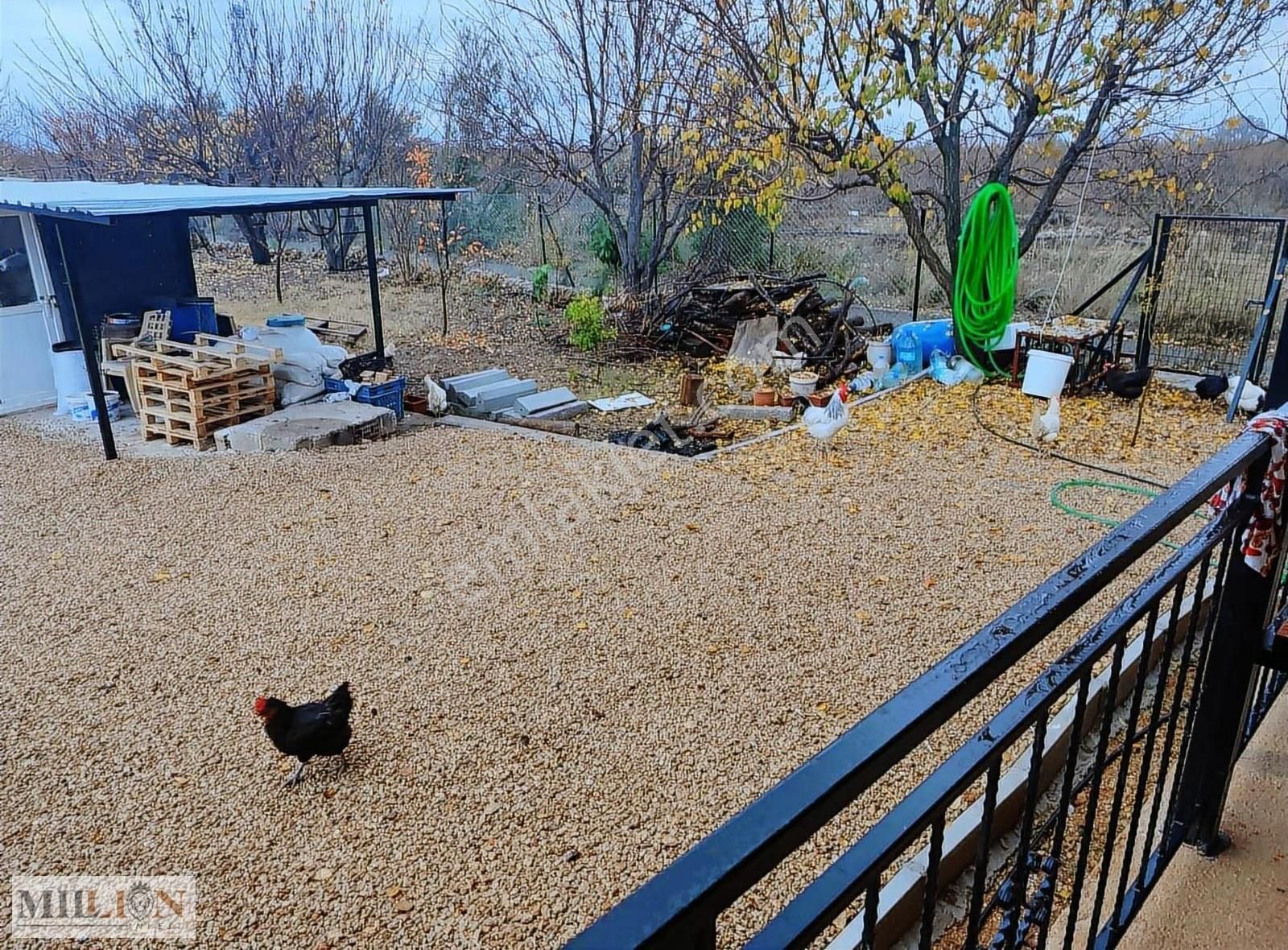 Kepez De Satılık Tarıma Elverişli Arsa - Görsel 13