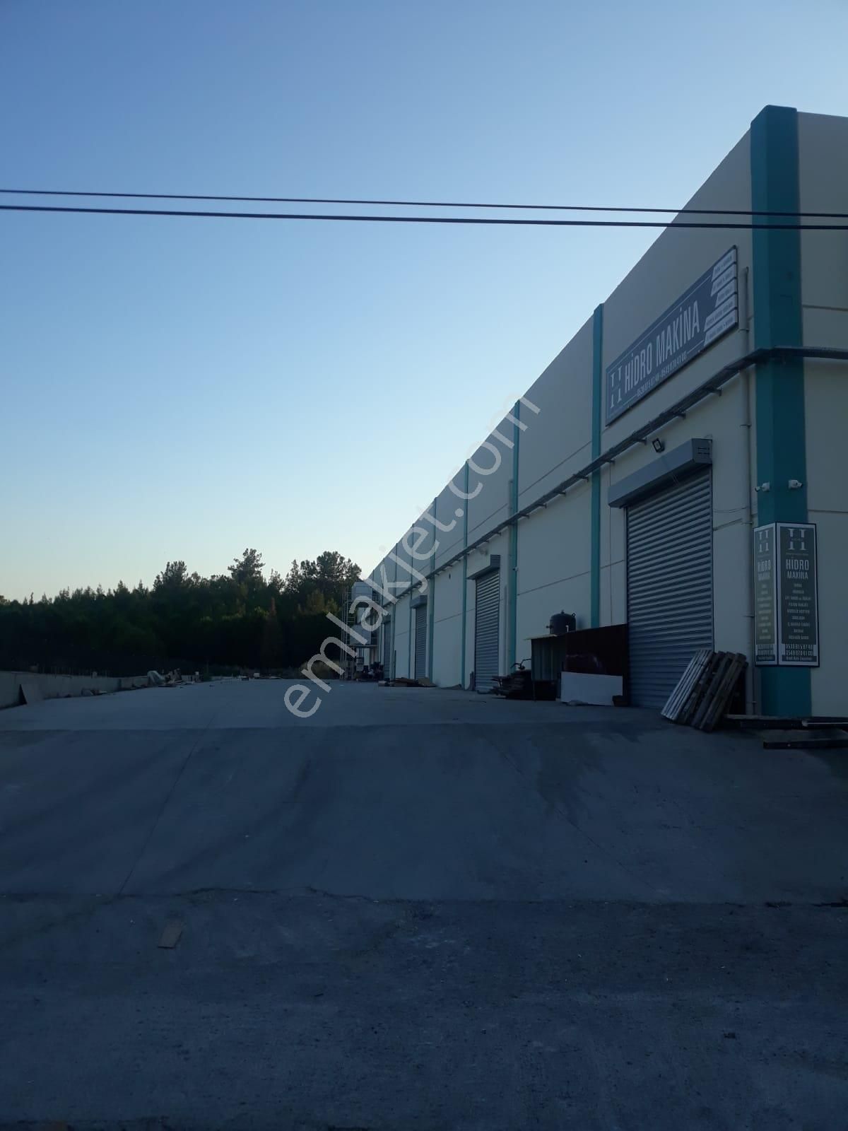 Muğla Menteşe Bayır'da Sanayi İmarlı Kiralık Depo-işyeri - Görsel 3