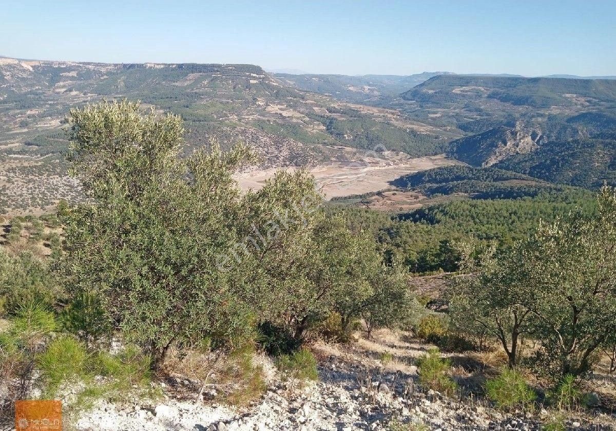 Aydın Bozdoğan Örencik’te Satılık 34 Dönüm Tarla - Görsel 5
