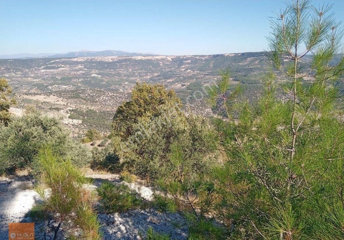 Aydın Bozdoğan Örencik’te Satılık 34 Dönüm Tarla - Görsel 15