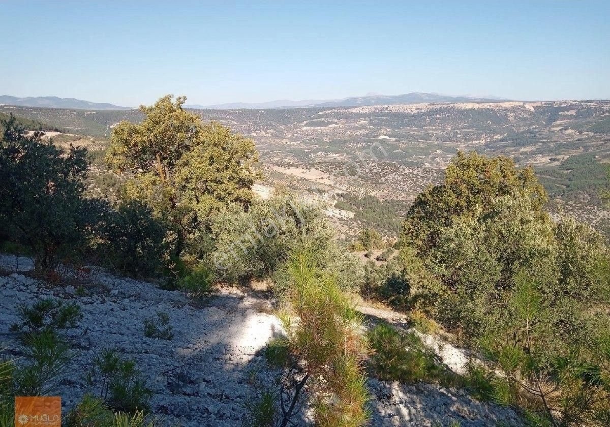 Aydın Bozdoğan Örencik’te Satılık 34 Dönüm Tarla - Görsel 13