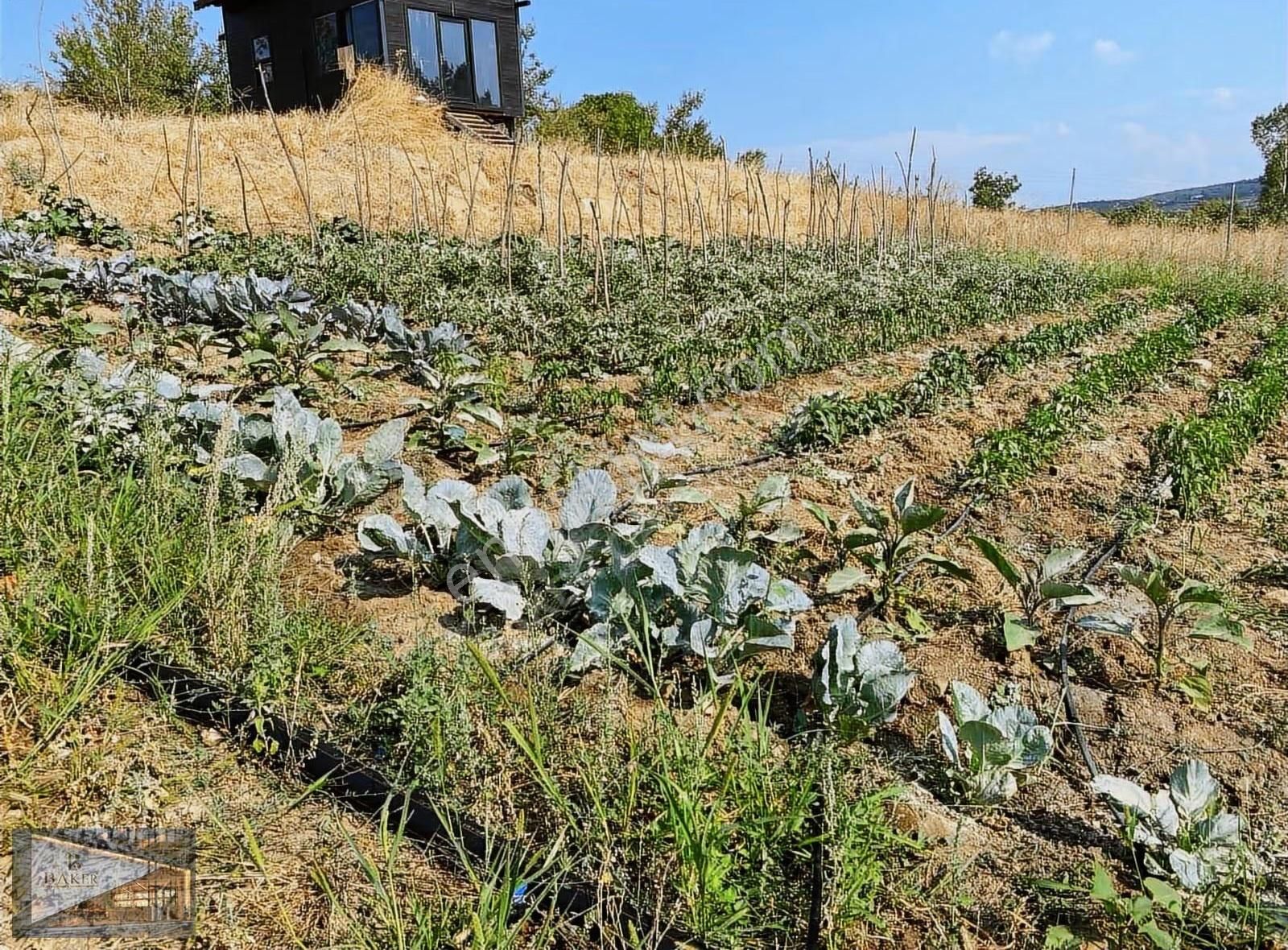 Baker'den Yenişehir Çiçeközün'de 3269 M2 Tarla Ve Yaşam Alanı - Görsel 2