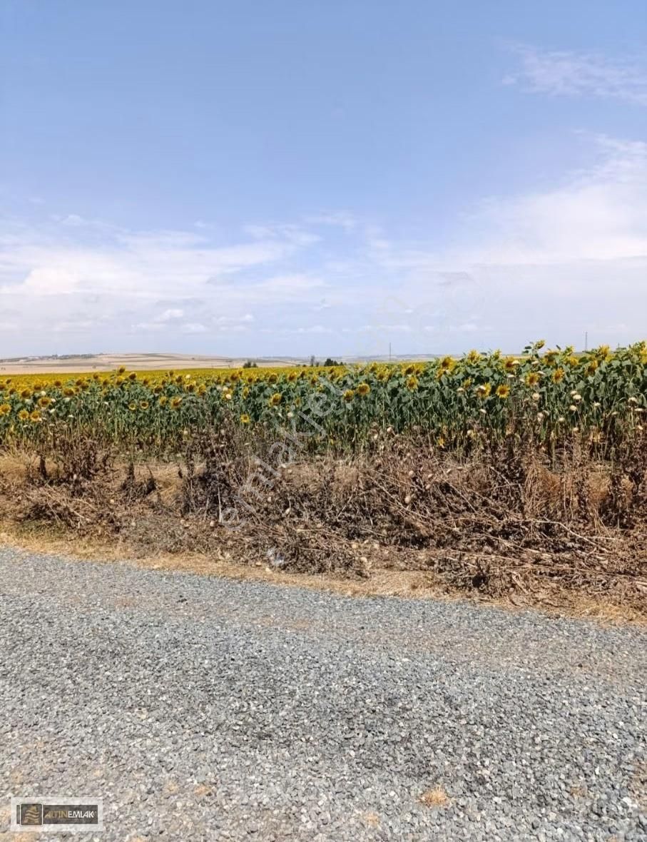 Tekirdağ Süleymanpaşa Bahçelievler Mh. Yatırımlık Villa Arsası - Görsel 2