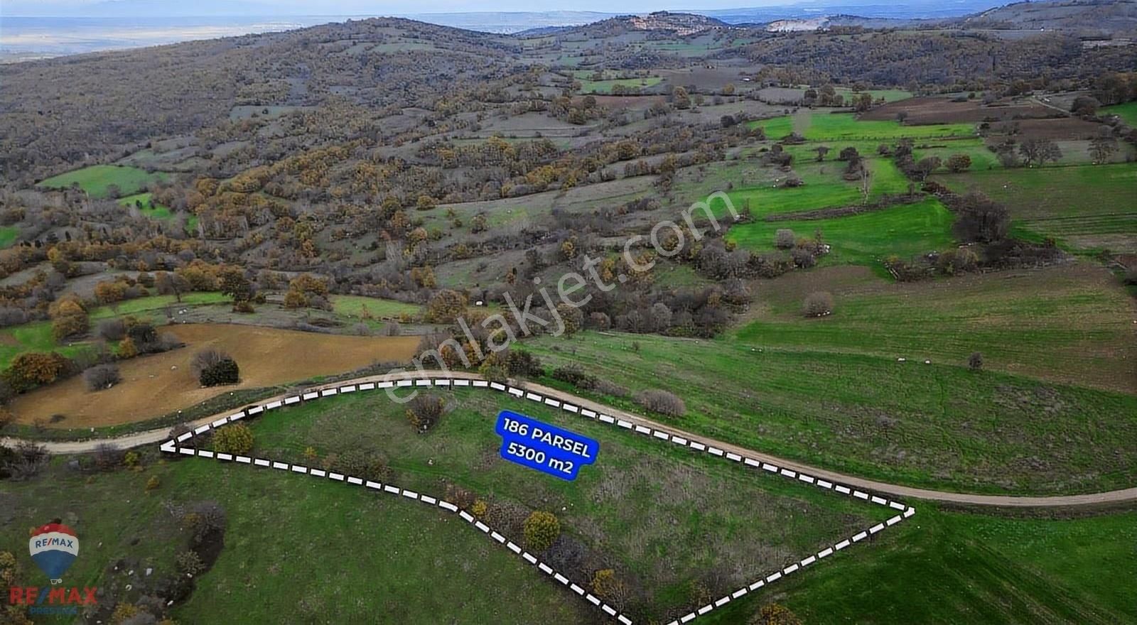 Remax-canbek Tarba- Havdan- Muhteşem Manzaralı 5300m2 Arazi - Görsel 8