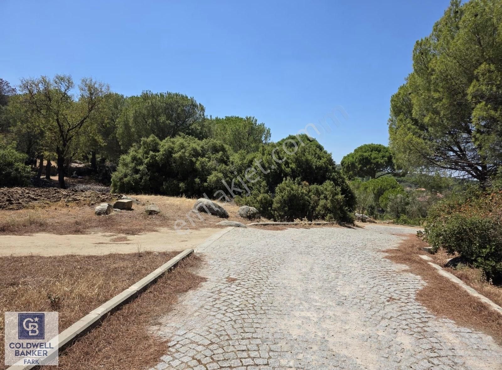 İzmir Bergama Okçular Mah. Köycıvarı Yatırımlık 2951 M² Arazi - Görsel 13