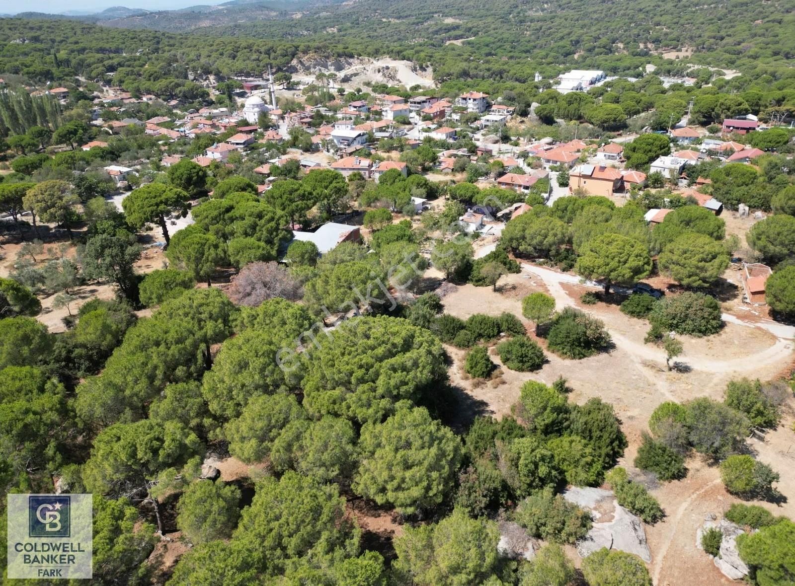 İzmir Bergama Okçular Mah. Köycıvarı Yatırımlık 2951 M² Arazi