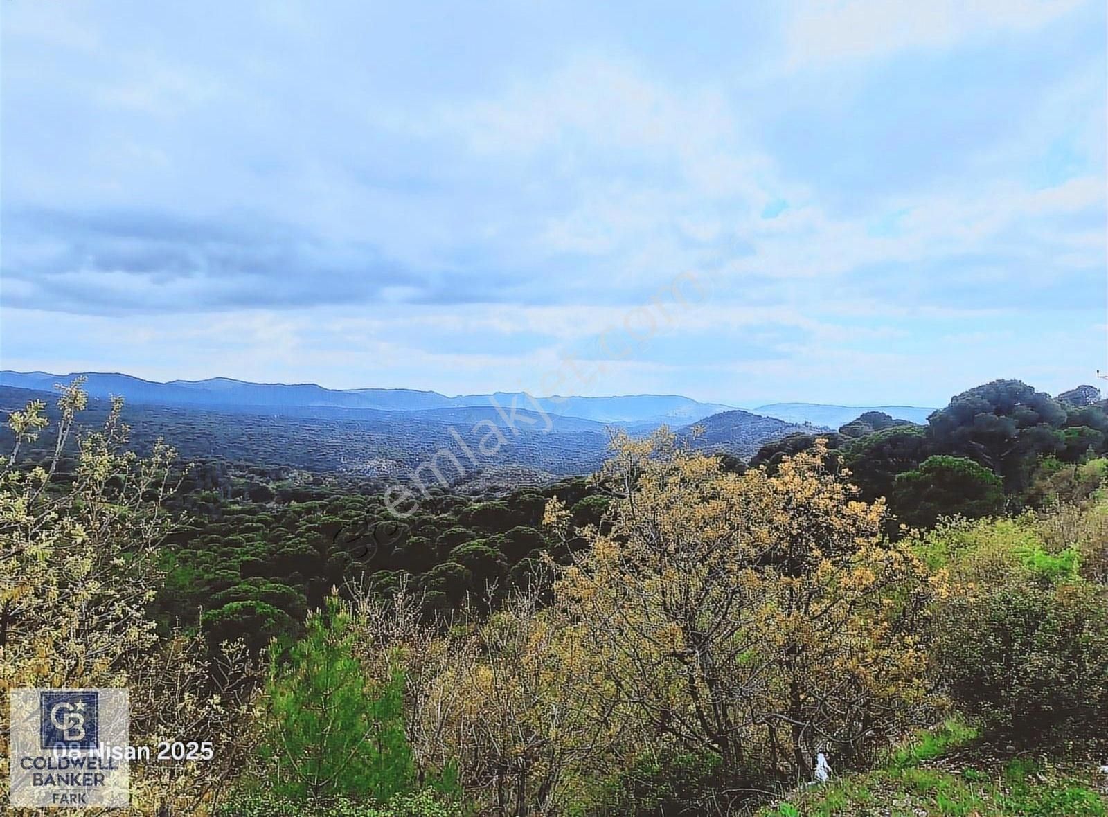 Ayvalık Bağyüzü Asfalt Cepheli Yatırımlık 14336 M² Satılık Arazi
