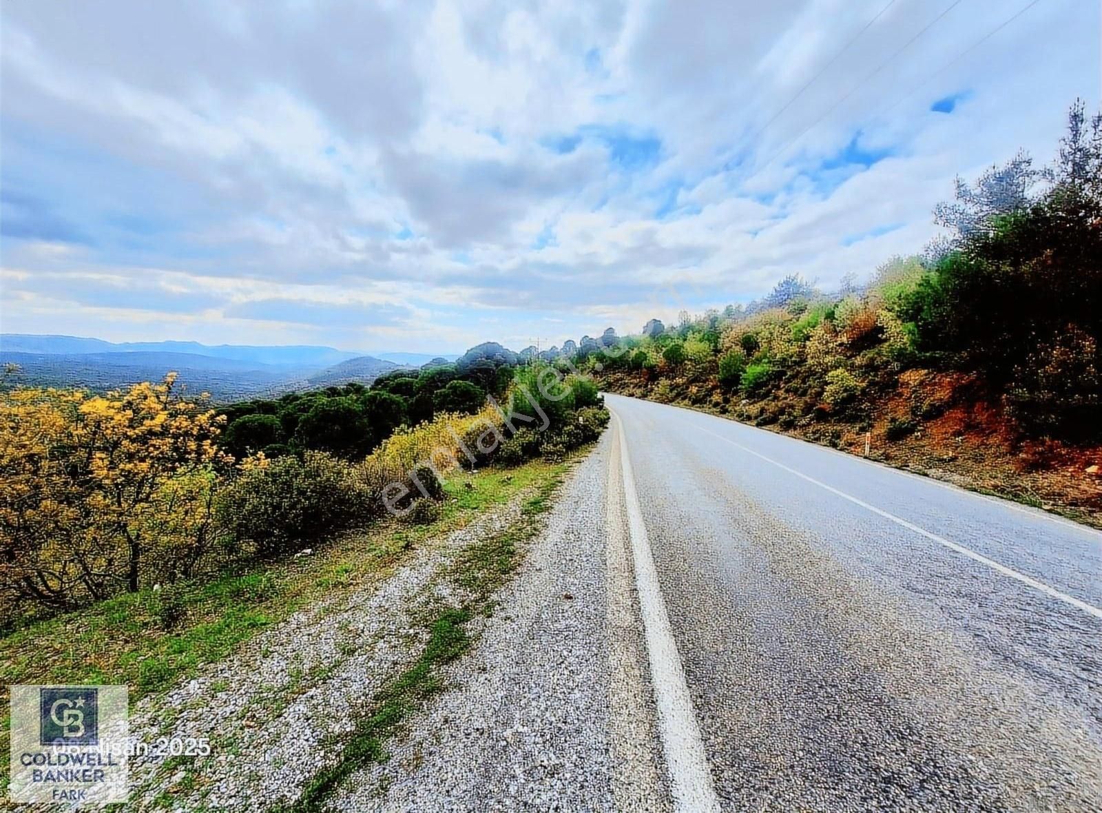 Ayvalık Bağyüzü Asfalt Cepheli Yatırımlık 14336 M² Satılık Arazi - Görsel 8