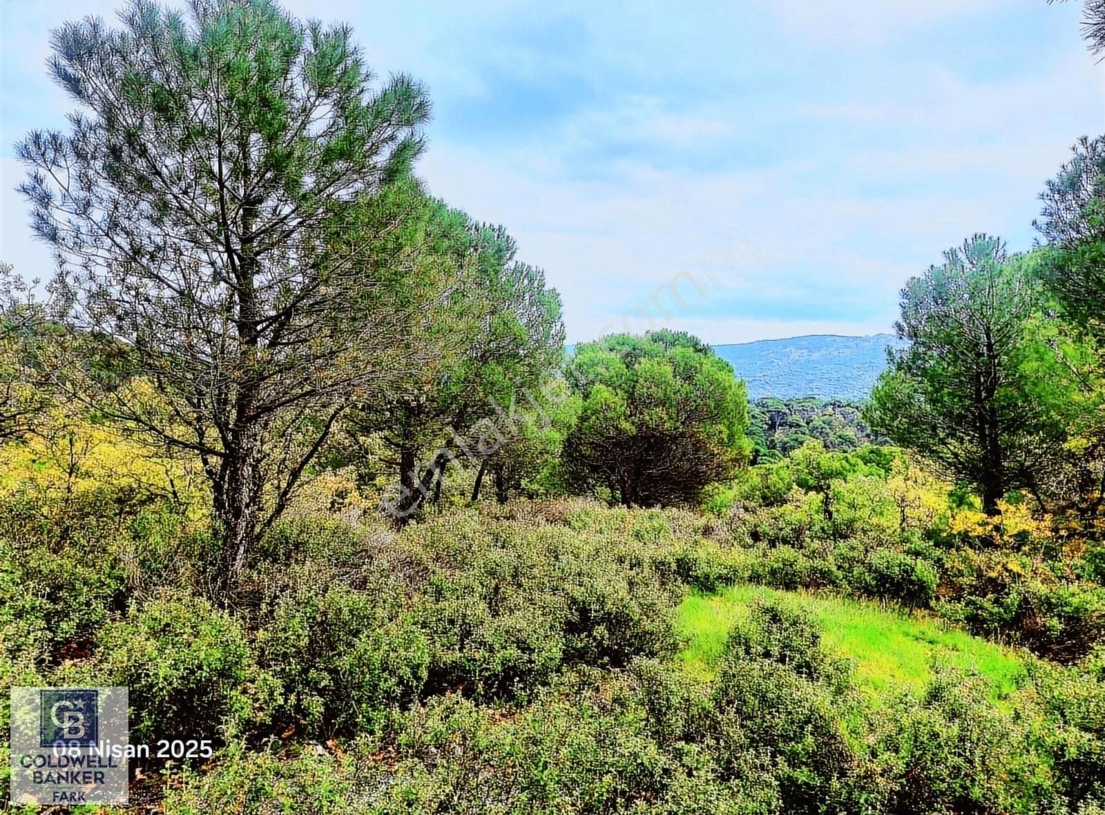 Ayvalık Bağyüzü Asfalt Cepheli Yatırımlık 14336 M² Satılık Arazi - Görsel 11