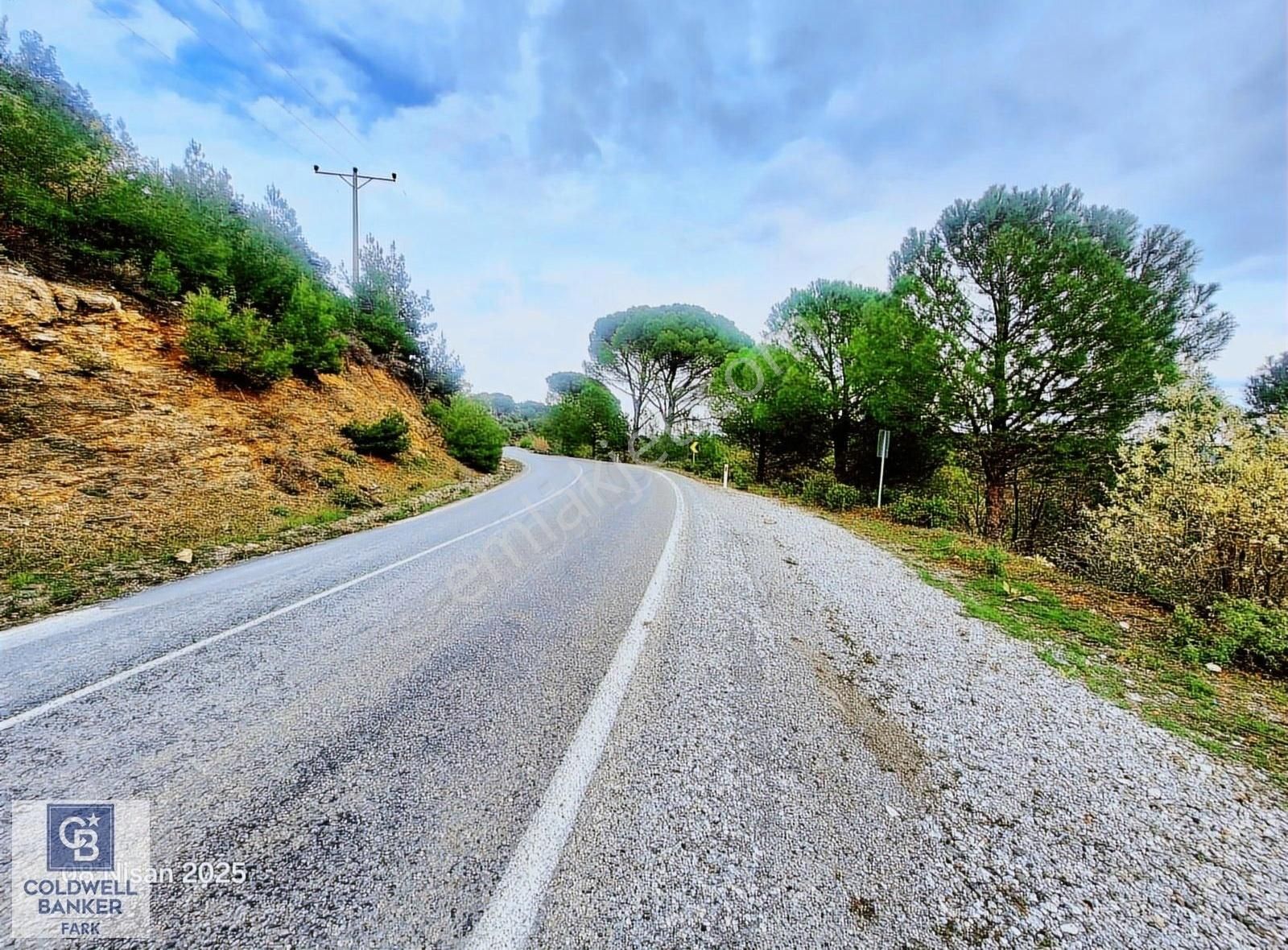 Ayvalık Bağyüzü Asfalt Cepheli Yatırımlık 14336 M² Satılık Arazi - Görsel 16