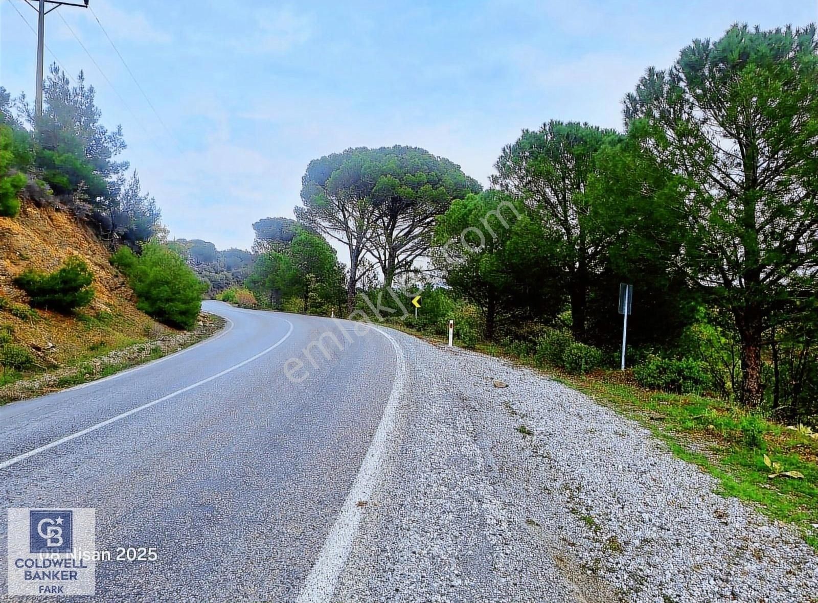 Ayvalık Bağyüzü Asfalt Cepheli Yatırımlık 14336 M² Satılık Arazi - Görsel 4