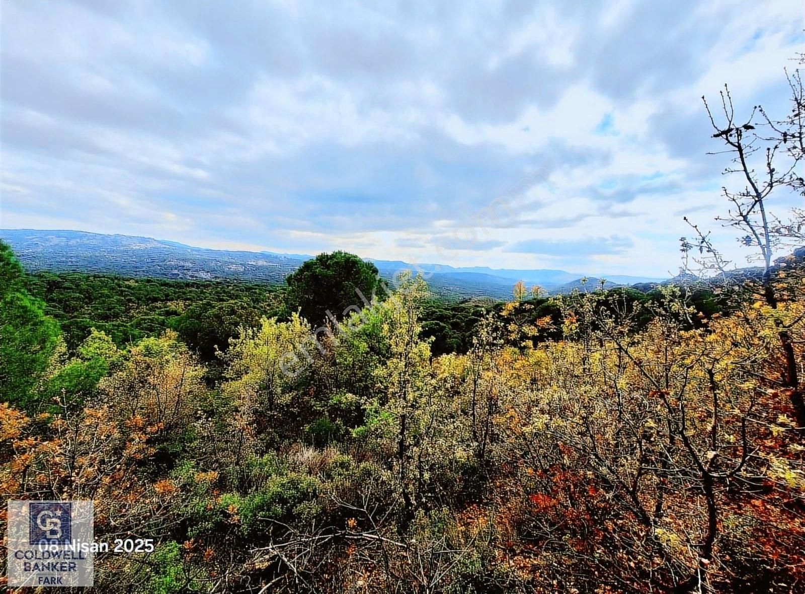 Ayvalık Bağyüzü Asfalt Cepheli Yatırımlık 14336 M² Satılık Arazi - Görsel 10