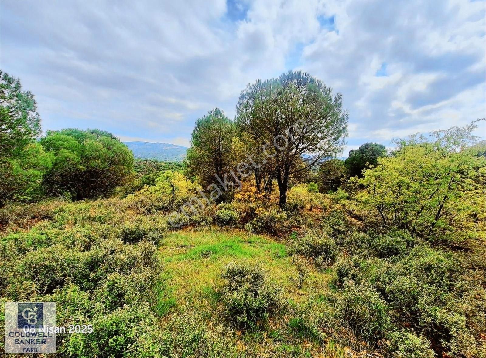 Ayvalık Bağyüzü Asfalt Cepheli Yatırımlık 14336 M² Satılık Arazi - Görsel 6