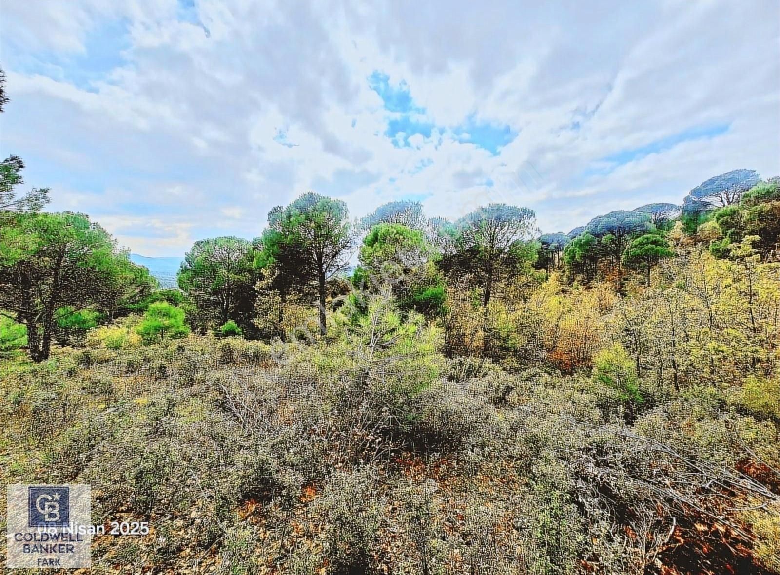 Ayvalık Bağyüzü Asfalt Cepheli Yatırımlık 14336 M² Satılık Arazi - Görsel 9