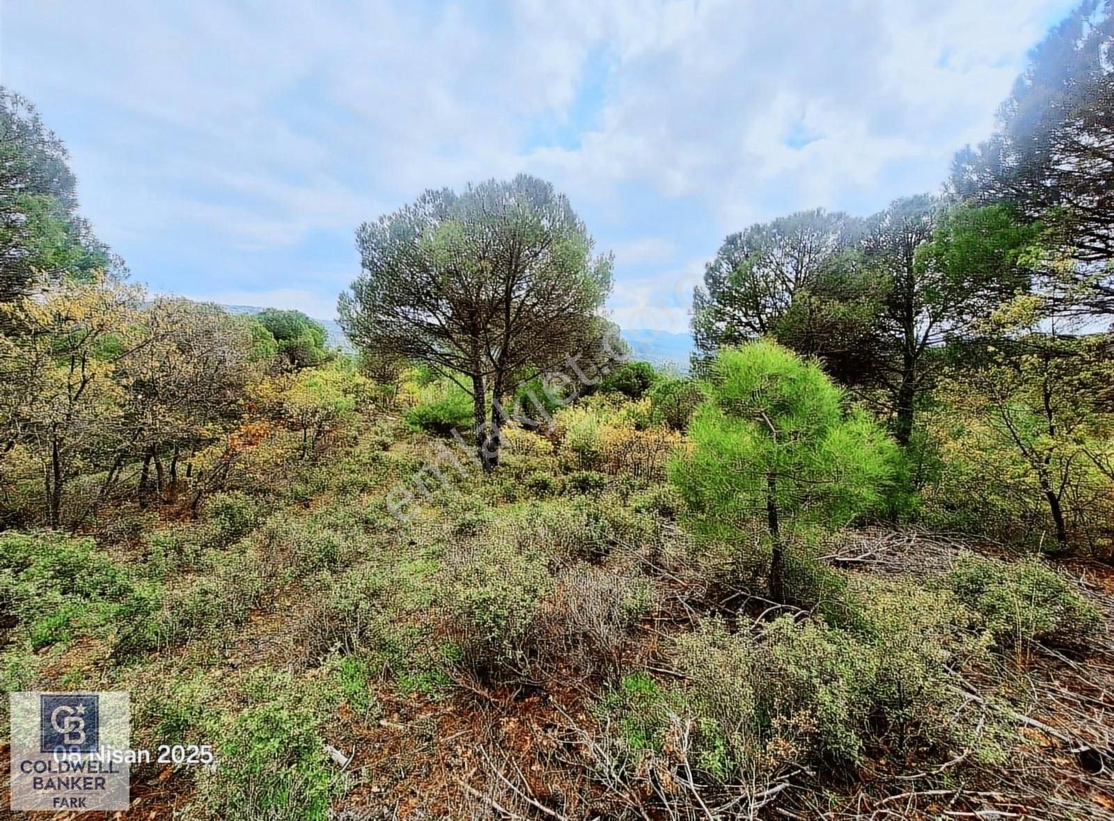 Ayvalık Bağyüzü Asfalt Cepheli Yatırımlık 14336 M² Satılık Arazi - Görsel 3