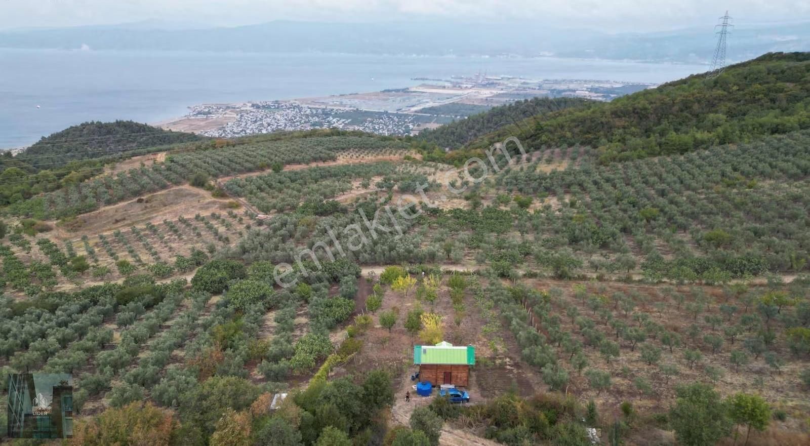 Acil Satılık Bağ Evi Ve Meyve Bahçesi - Görsel 6