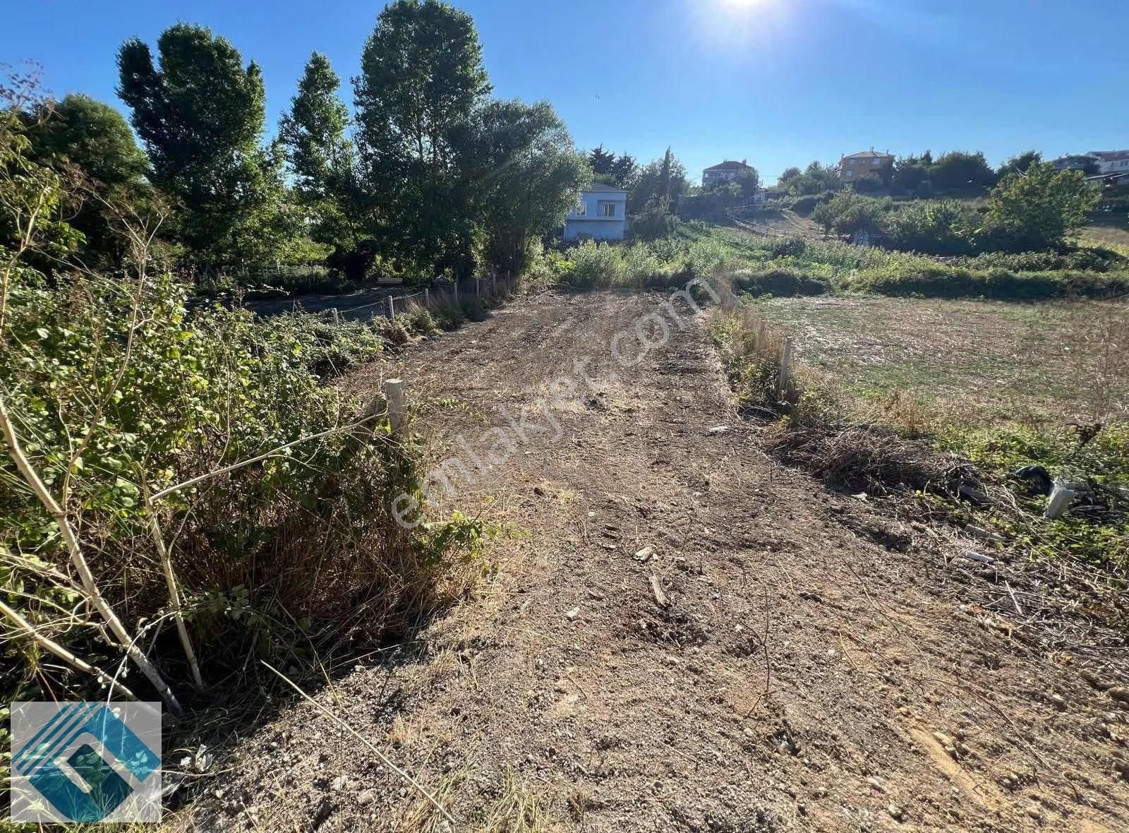 İhsaniye Köy İçerisinde Yatırımlık Tarla - Görsel 3