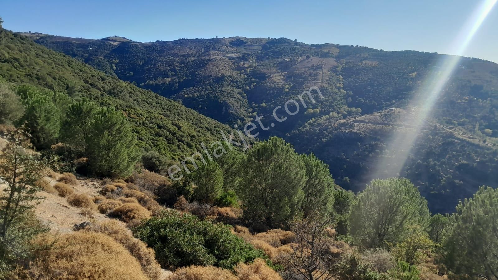 Güzelbahçe Yaka Mahallesi 6523 M2 Deniz Ve Doğa Manzaralı Tarla - Görsel 15