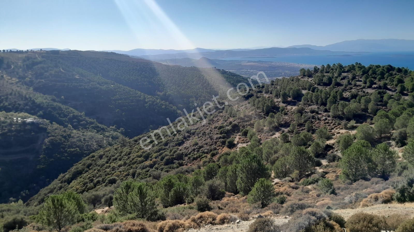Güzelbahçe Yaka Mahallesi 6523 M2 Deniz Ve Doğa Manzaralı Tarla - Görsel 6
