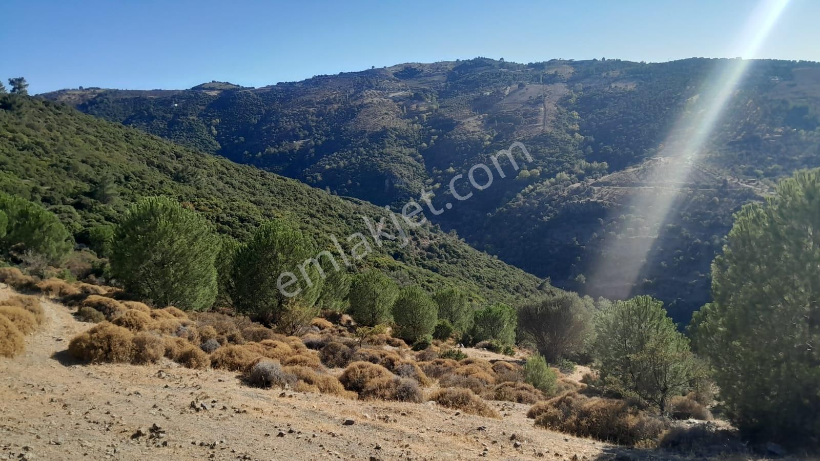 Güzelbahçe Yaka Mahallesi 6523 M2 Deniz Ve Doğa Manzaralı Tarla - Görsel 21