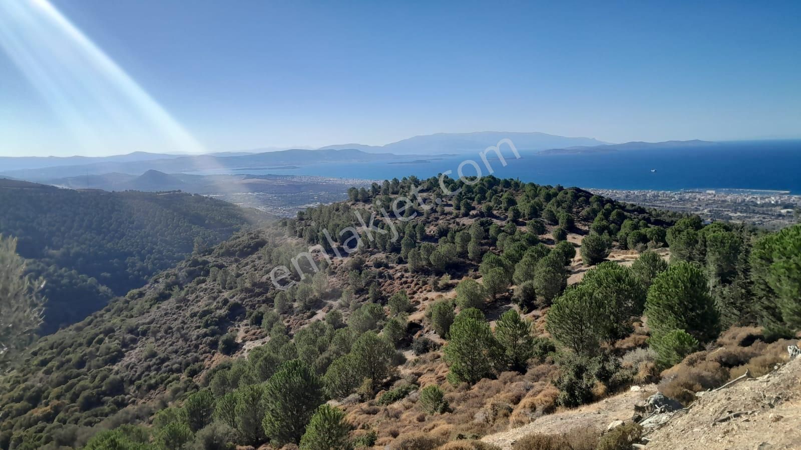 Güzelbahçe Yaka Mahallesi 6523 M2 Deniz Ve Doğa Manzaralı Tarla - Görsel 8