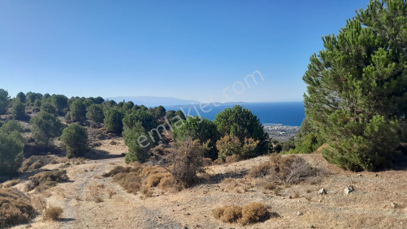 Güzelbahçe Yaka Mahallesi 6523 M2 Deniz Ve Doğa Manzaralı Tarla - Görsel 4