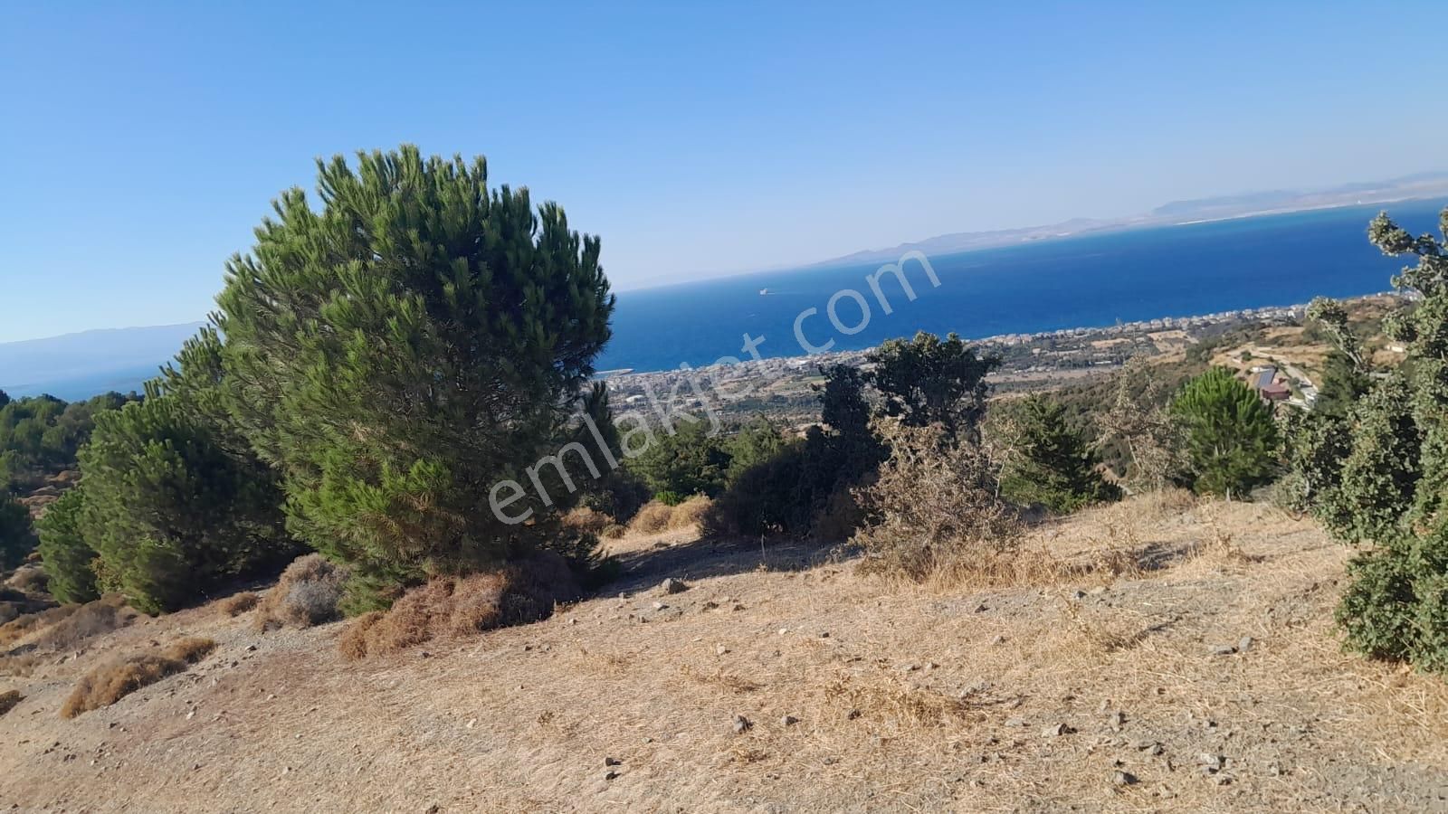 Güzelbahçe Yaka Mahallesi 6523 M2 Deniz Ve Doğa Manzaralı Tarla - Görsel 11