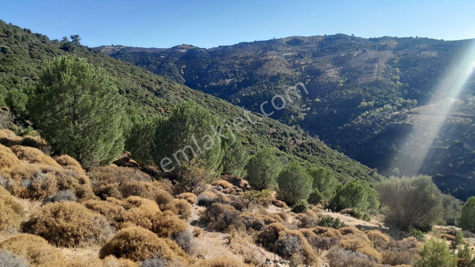 Güzelbahçe Yaka Mahallesi 6523 M2 Deniz Ve Doğa Manzaralı Tarla