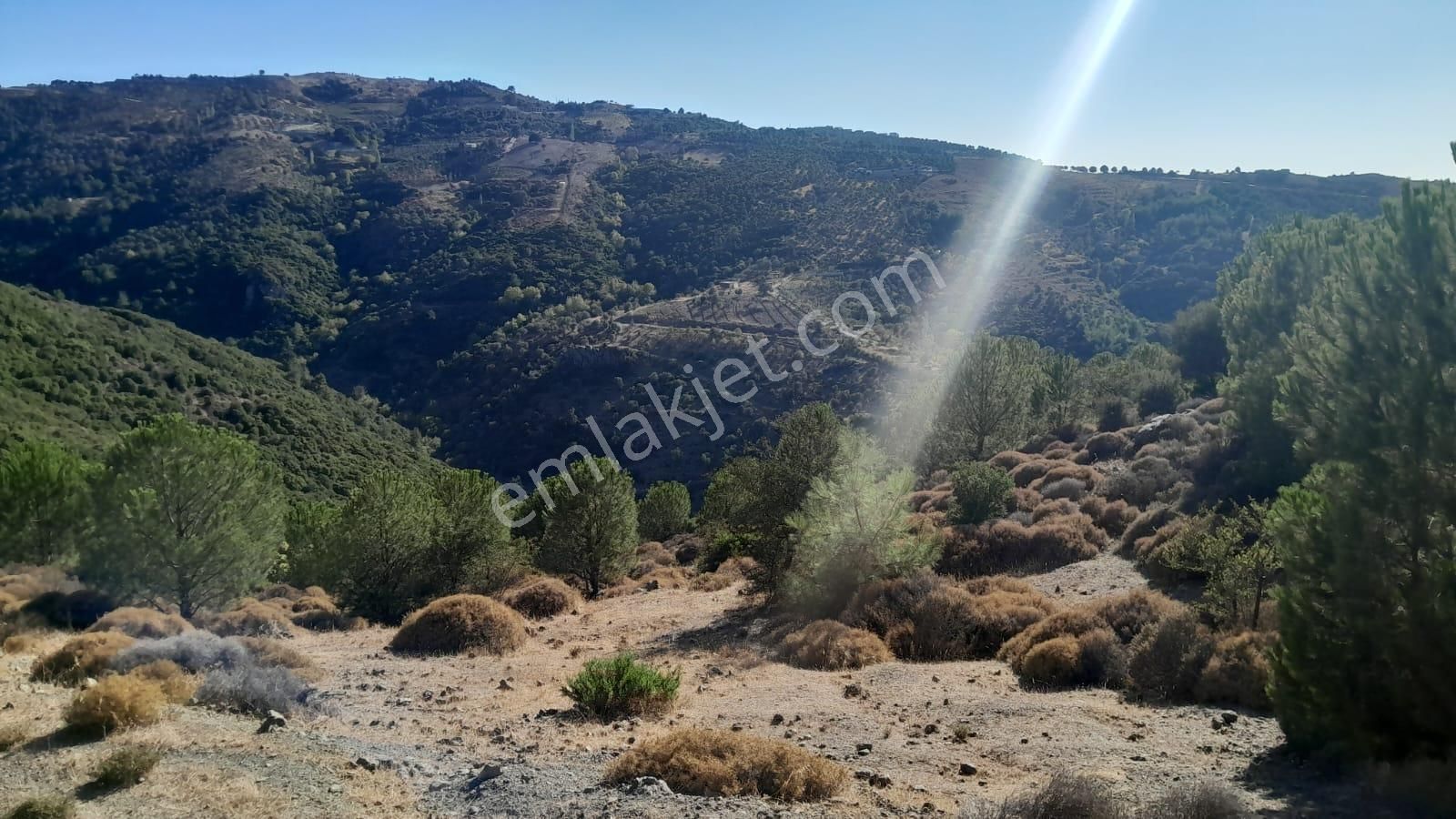 Güzelbahçe Yaka Mahallesi 6523 M2 Deniz Ve Doğa Manzaralı Tarla - Görsel 14