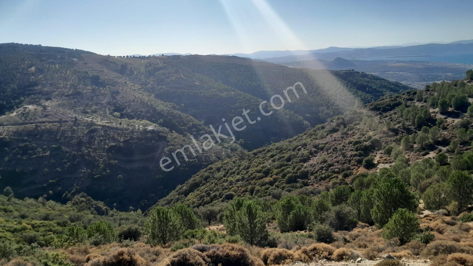 Güzelbahçe Yaka Mahallesi 6523 M2 Deniz Ve Doğa Manzaralı Tarla - Görsel 9