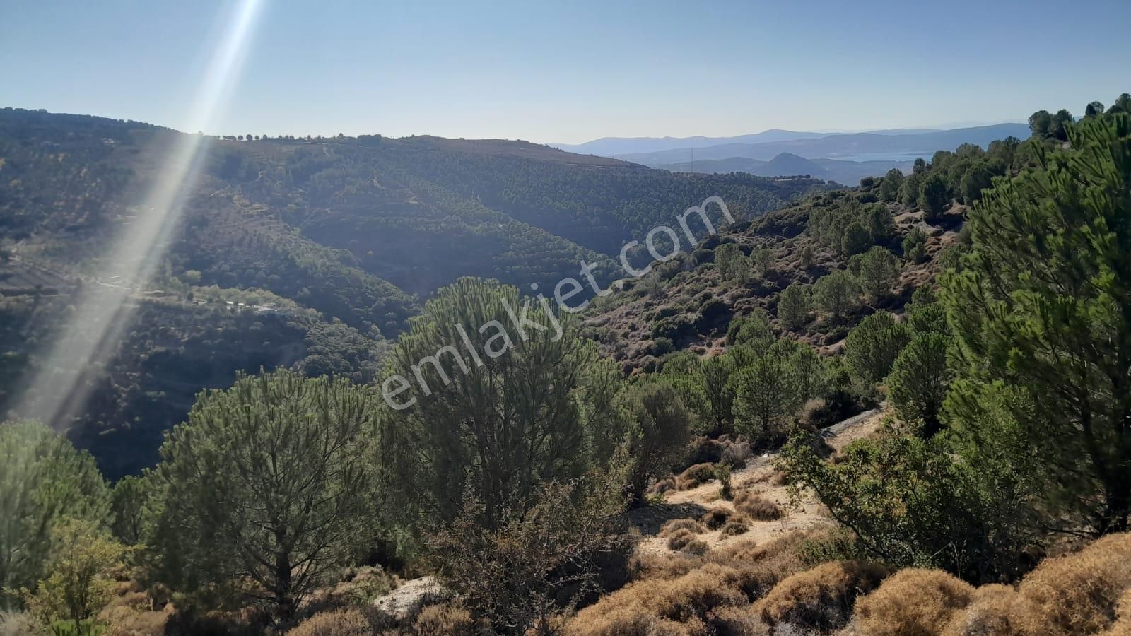 Güzelbahçe Yaka Mahallesi 6523 M2 Deniz Ve Doğa Manzaralı Tarla - Görsel 19